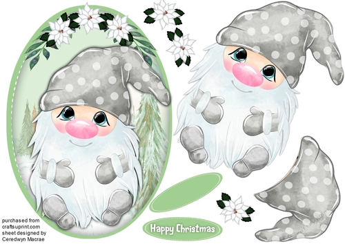 Happy Christmas Gnome