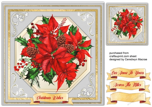 8x8 Beautiful Christmas Poinsettias 