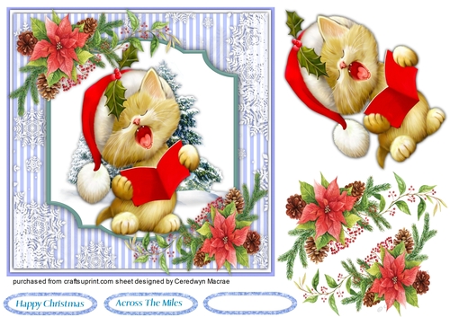 7x7 The Christmas Cat Singer