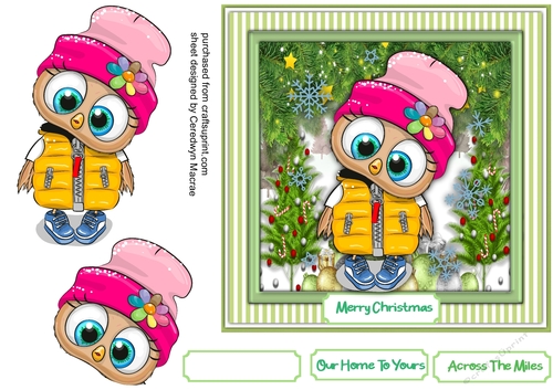 Gorgeous Christmas Owl