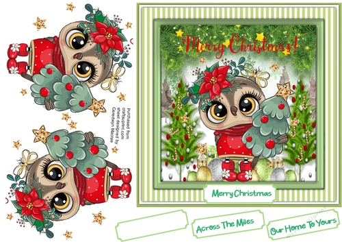 Gorgeous mERRY cHRISTMAS Owl