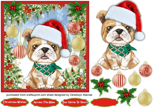 7x7 Gorgeous Bulldog Santa