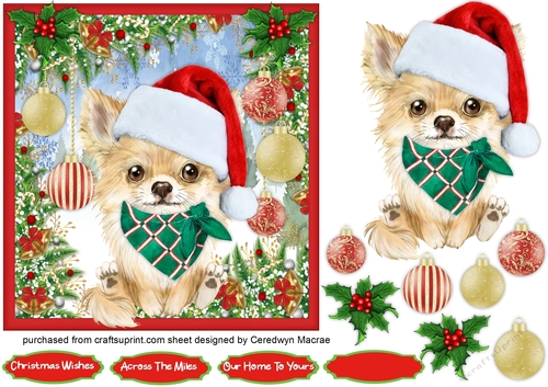 7x7 Gorgeous Chihuahua Santa