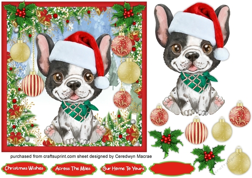 7x7 Gorgeous French Bulldog Santa