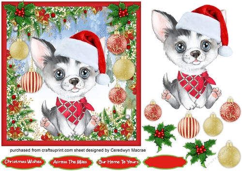 7x7 Gorgeous  Santa Dog