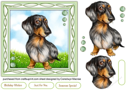 I Love My Dachshund 