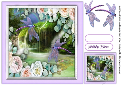 Dragonflys and Waterfalls