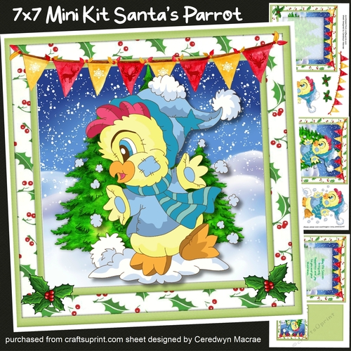 7x7 Mini Kit, Santas Parrot