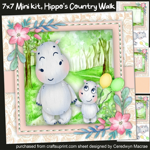 7x7 Mini Kit ,Hippos Country Walk 