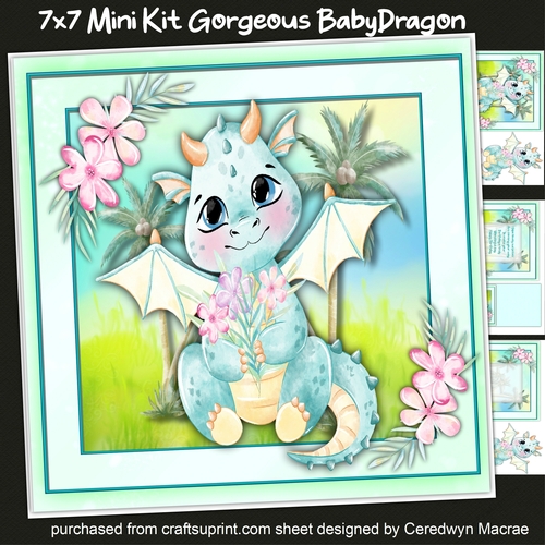 7x7 Mini kit, Gorgeous Baby Dragon