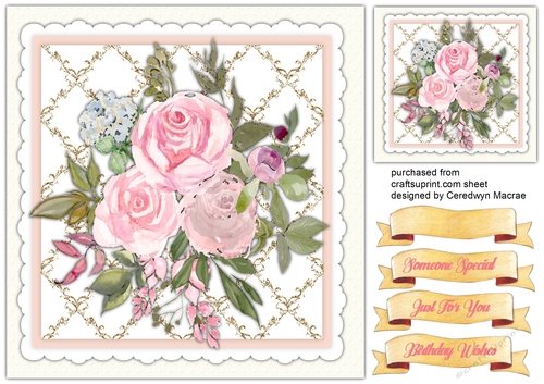 8x8 , Beautiful Summer Roses