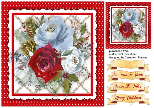 8x8 , Beautiful Christmas Roses