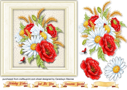 Beautiful Poppys , Daisys and Summer Corn