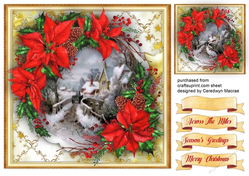 Beautiful Christmas Poinsettias