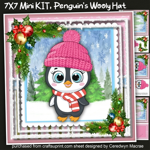 7x7 Mini Kit, Penguins Wooly Hat