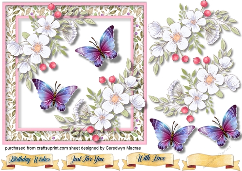 Beautiful Roses and Butterflys 