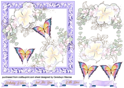 Beautiful Cream Roses and Rainbow  Butterflys 