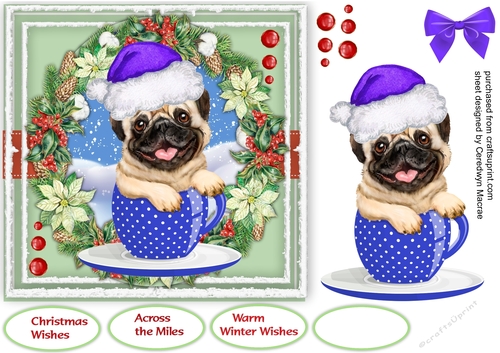 Pup In a Christmas Cup 3