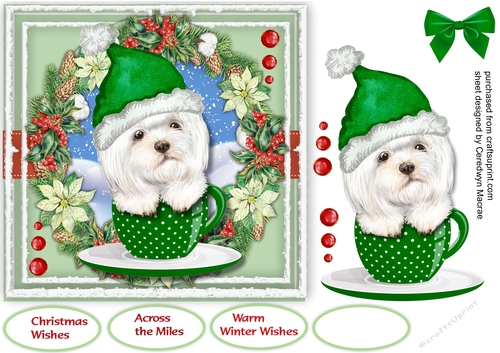 Pup In a Christmas Cup 5