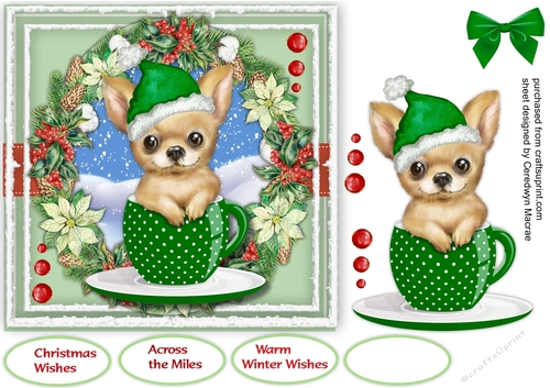 6Pup In a Christmas Cup 6