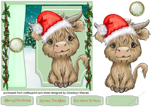 Gorgeous Christmas Highland Coo