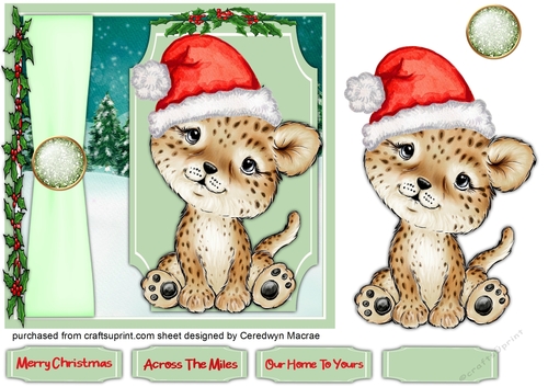 Gorgeous Christmas Leopard