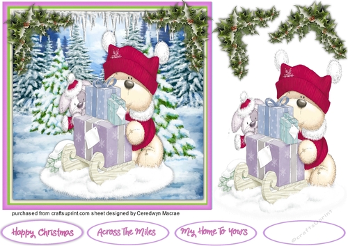 Teds Christmas Sleigh