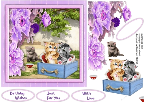 Kittys In The Garden