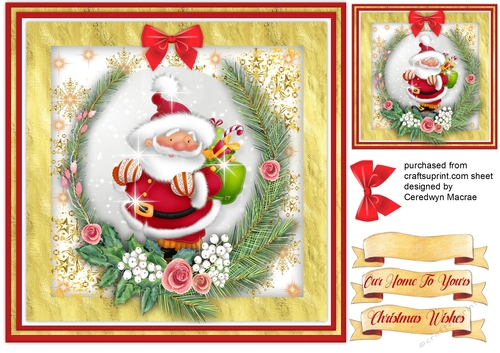 Gorgeous Christmas Santa 