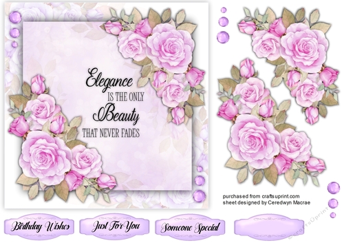 Elegance and Beauty 7x7