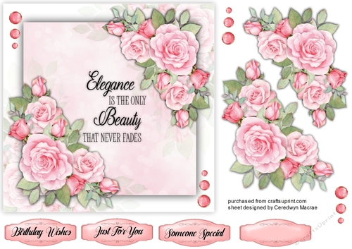 Beauty and Elegance 7x7