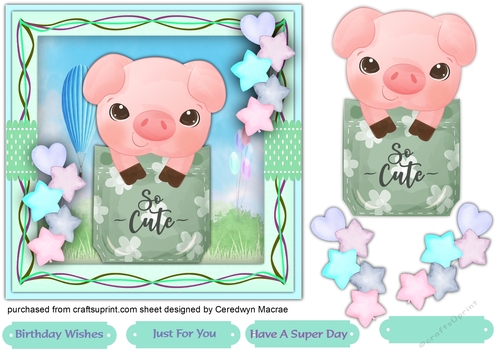 Little Pocket Piggy