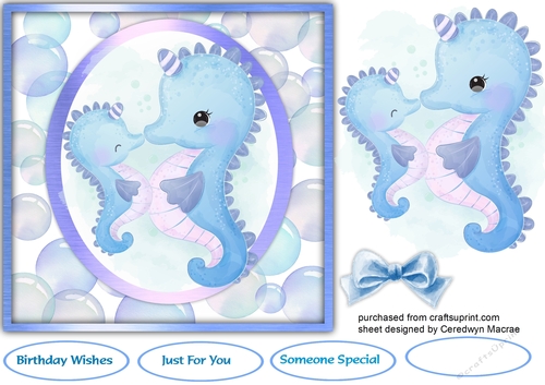 Gorgeous Sea Horses
