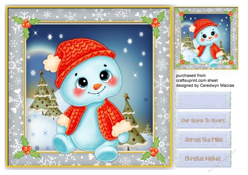 Gorgeous Little Snowman 
