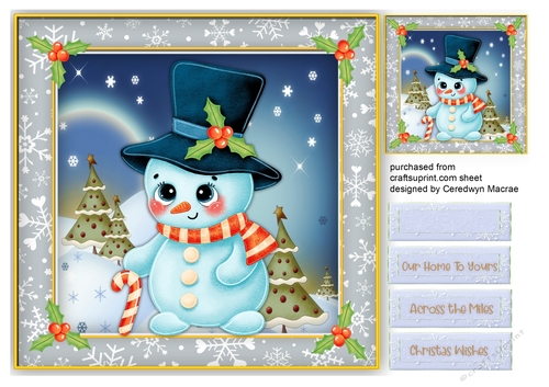 Gorgeous Snowman in A Tophat 