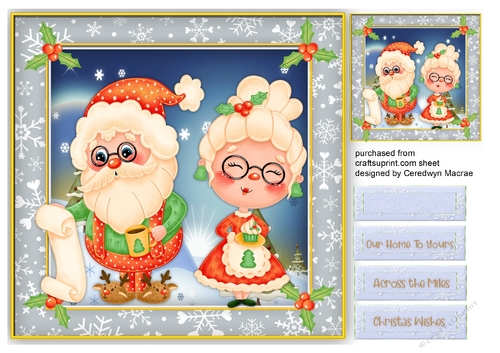 Gorgeous Mr & Mrs Santa Clause
