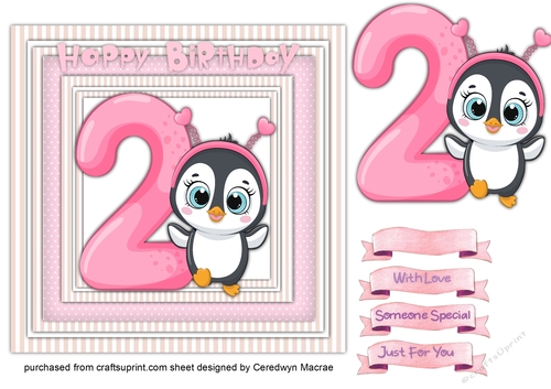Penguins 2nd Birthday