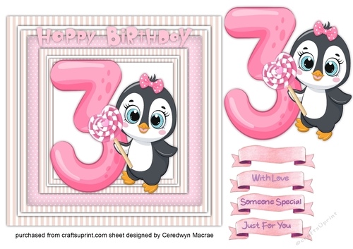 Penguins 3rd Birthday