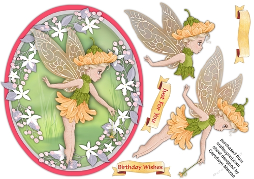 Beautiful Oval Fairy Daisy