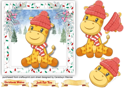 Gorgeous Giraffe in a woolly Hat