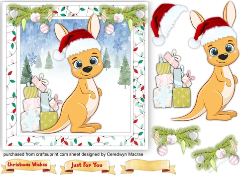 Gorgeous Kangaree with Presents