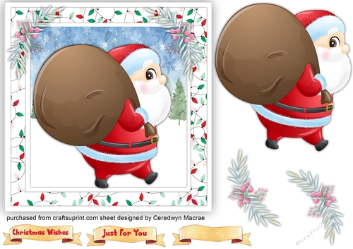 Gorgeous Santa with His Sack