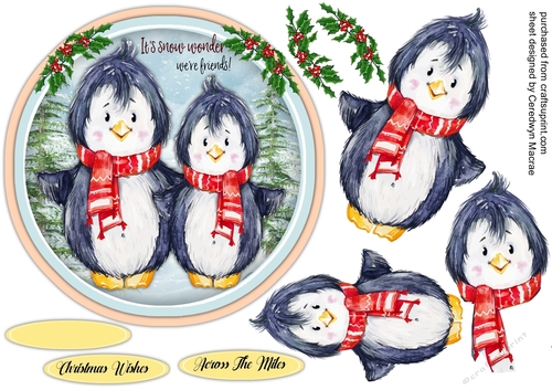 Gorgeous Penguin Friends 