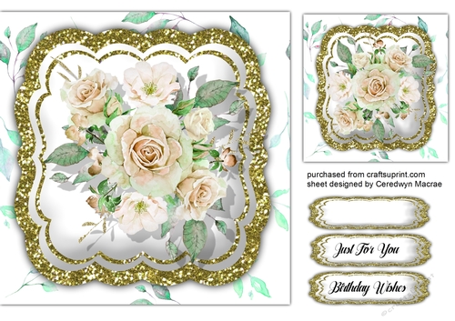 Stunning Cream  Roses