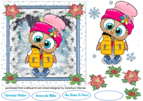 Gorgeous  Owl Wrapped up Warm 7x7 