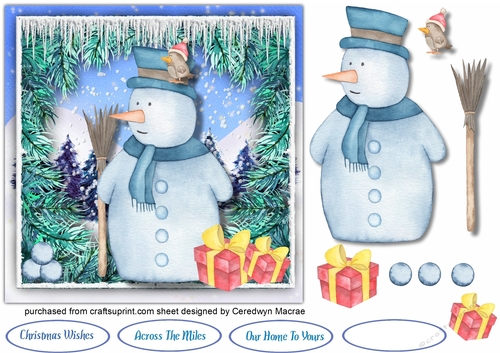 Gorgeous Snowman and Robin 