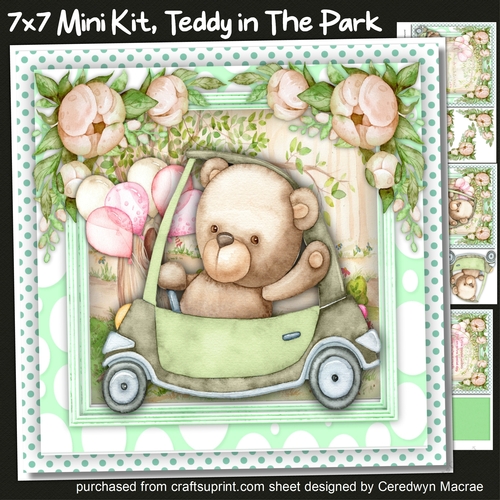 7x7 Mini Kit Teddy in the Park