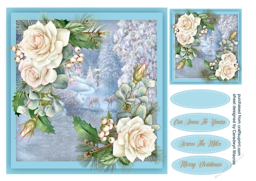 Beautiful Christmas Roses