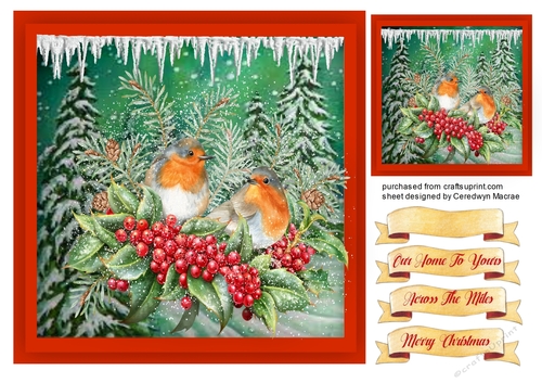 Beautiful Robins and Berries