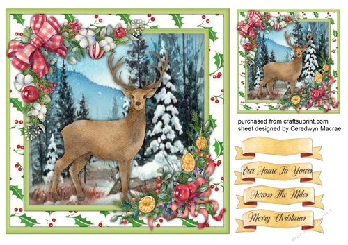 The Christmas Stag 